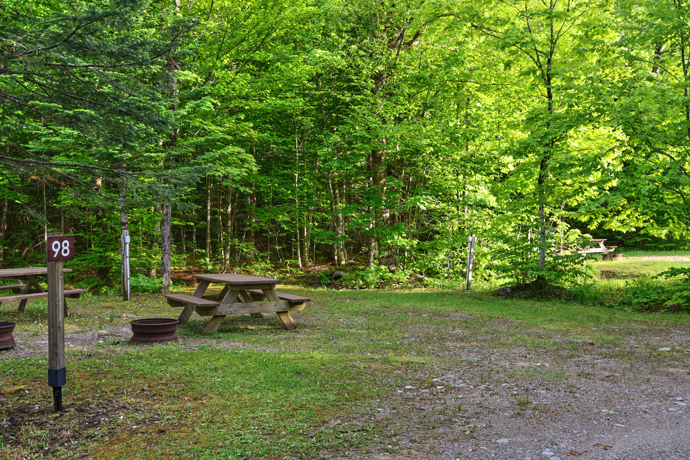 Site 98 - Lièvres