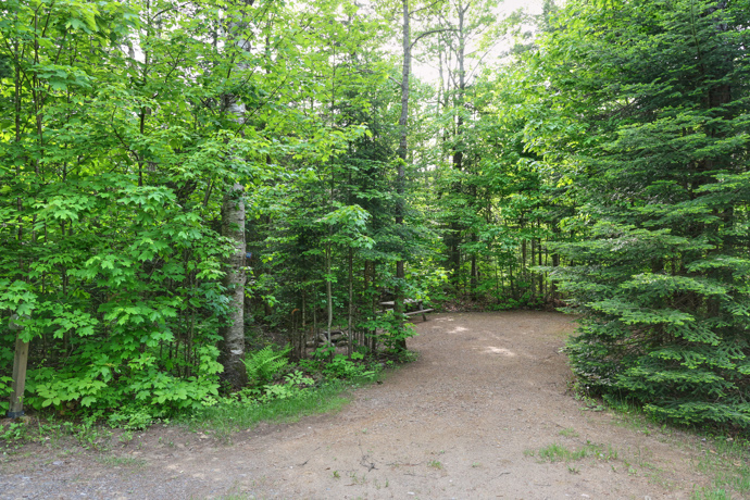 Site 41 - Grenouilles