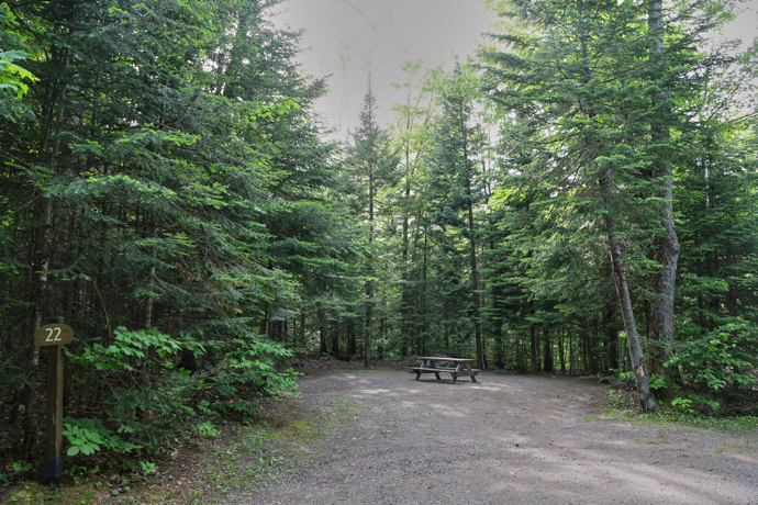 Site 22 - Marmottes