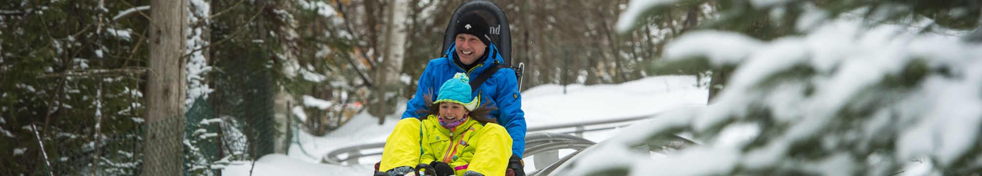 Sommet Saint-Sauveur - Alpine roller coaster