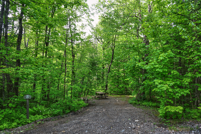 Site 79 - Renards