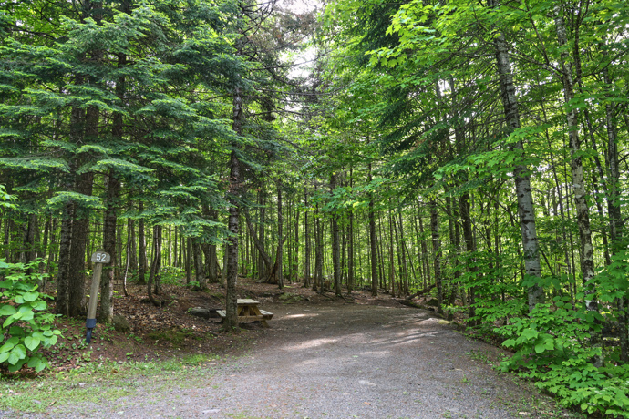 Site 52 - Loups