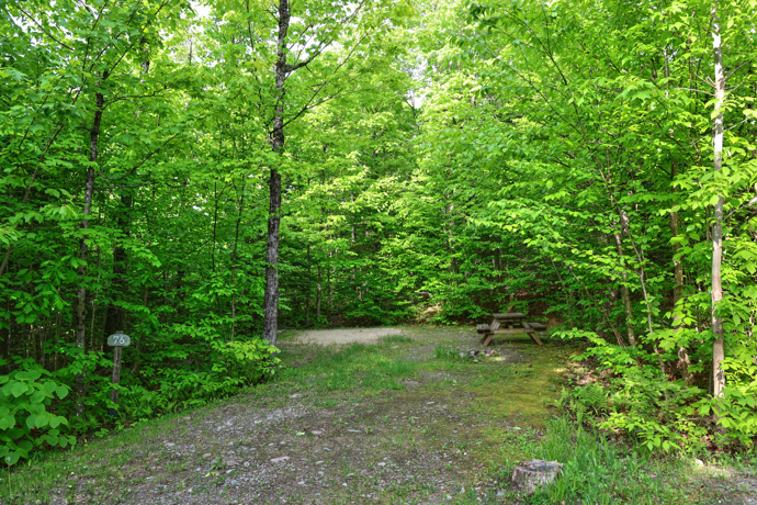Site 76 - Renards