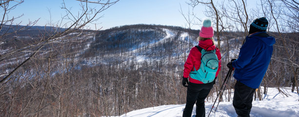 Season Pass | Snowshoes trails