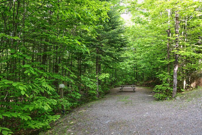 Site 88 - Renards