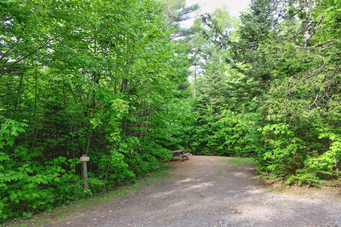 Site 39 - Grenouilles