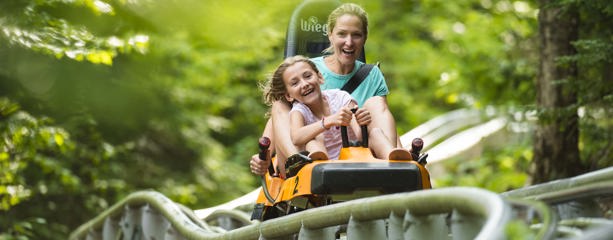 Viking or Dragon or chairlift | 1 time