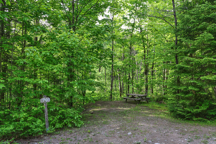 Site 70 - Écureuils