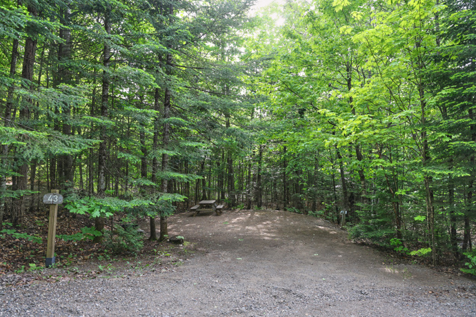 Site 43 - Grenouilles