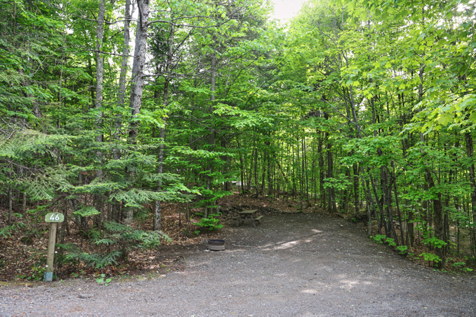 Site 46 - Grenouilles