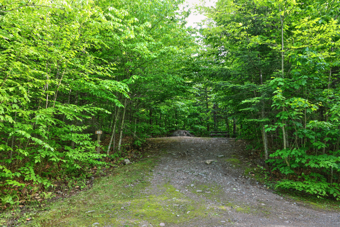 Site 86 - Renards