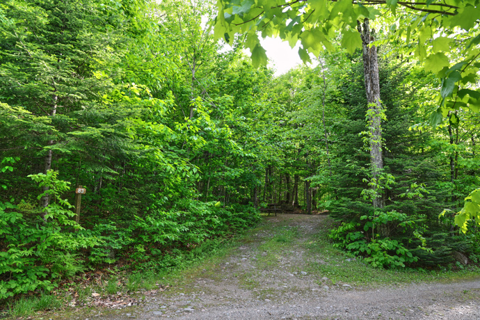 Site 83 - Renards