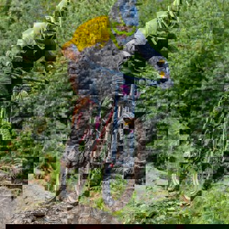 Sommet Saint Sauveur Parc Velo Automne Adulte