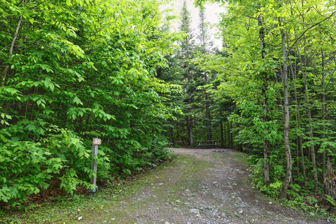 Site 85 - Renards