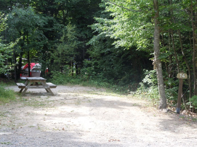 Site 14 - Castors
