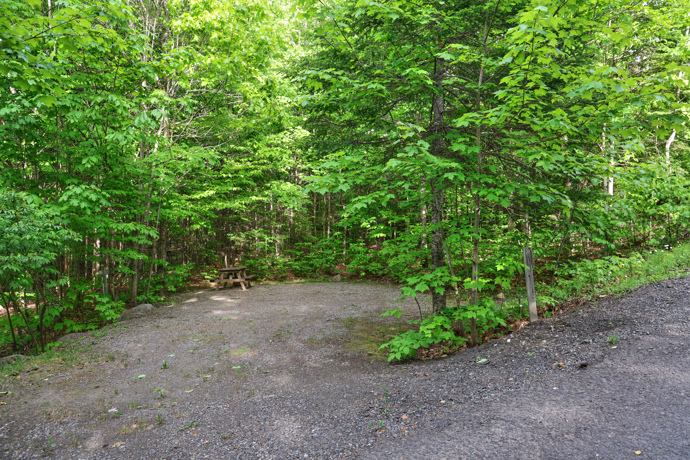 Site 36 - Grenouilles