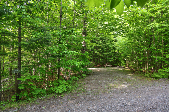 Site 77 - Renards