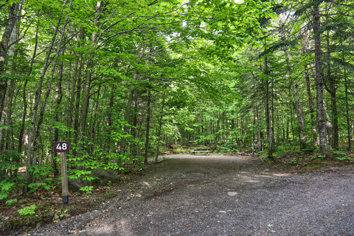 Site 48 - Loups
