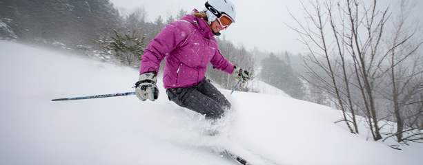 Sommet Edelweiss Season Pass unlimited 