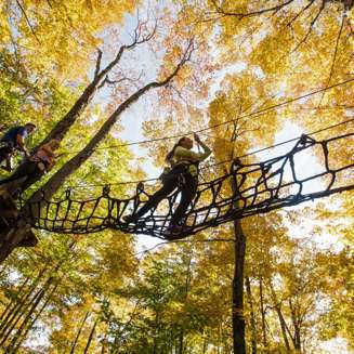Sommet Morin Heights Arbres Automne Couleurs Acro Nature Laurentides