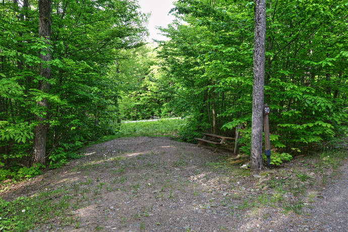 Site 90 - Lièvres