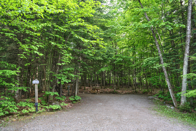 Site 51 - Loups