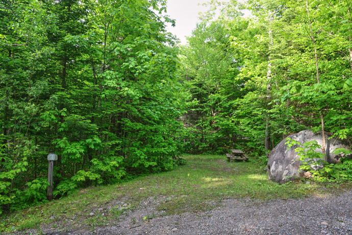 Site 78 - Renards