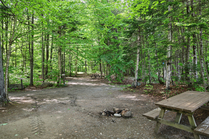 Site 2 - Oiseaux