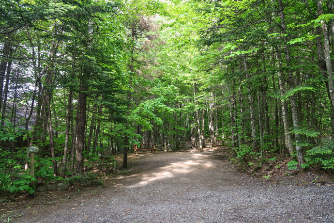 Site 47 - Loups