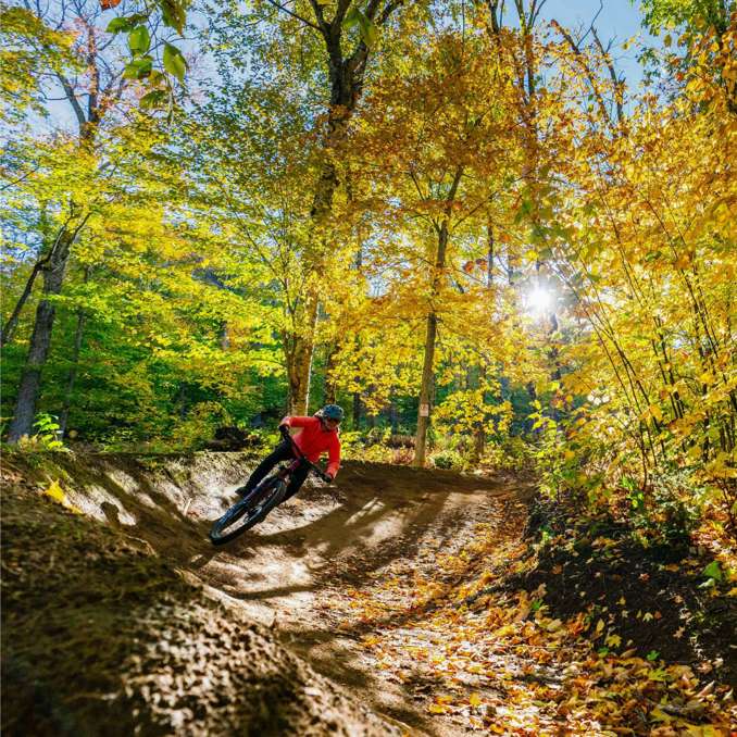 Sommet Saint Sauveur Versant Avila Parc Velo Automne Descente Jour Montagne Feuille Arbre