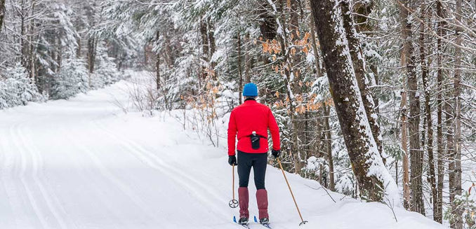 Sommet Morin Heights Ski Randonne Adulet Foret Piste