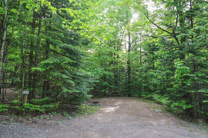 Site 42 - Grenouilles