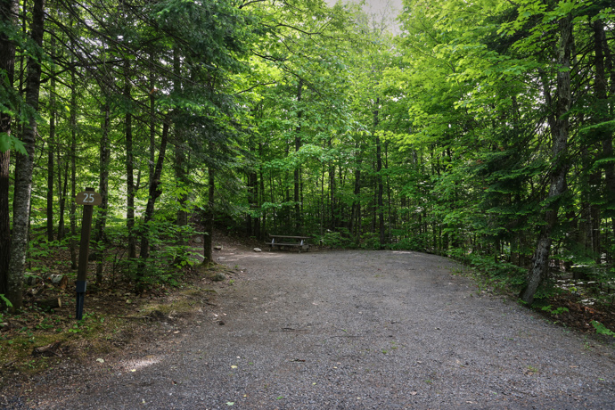 Site 25 - Marmottes