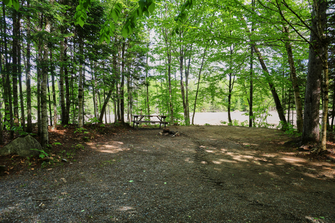 Site 3 - Oiseaux