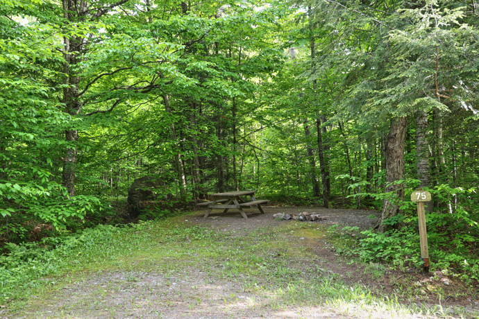 Site 75 - Écureuils
