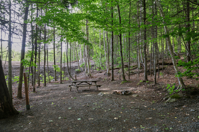 Site 8 - Porcs-épics