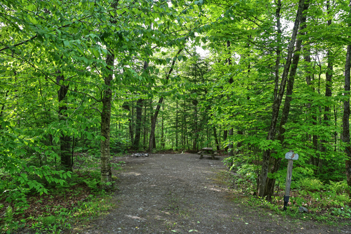 Site 80 - Renards