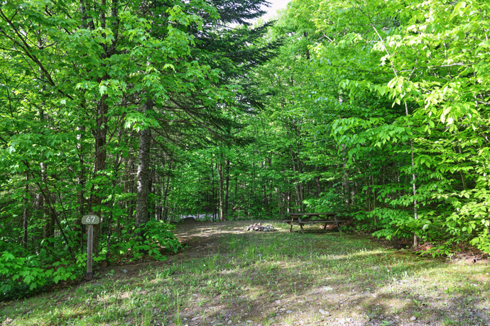 Site 67 - Écureuils