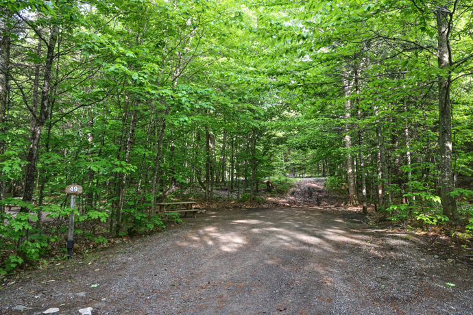 Site 49 - Loups