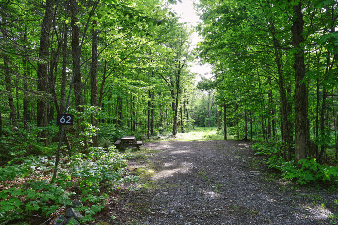 Site 62 - Chevreuils
