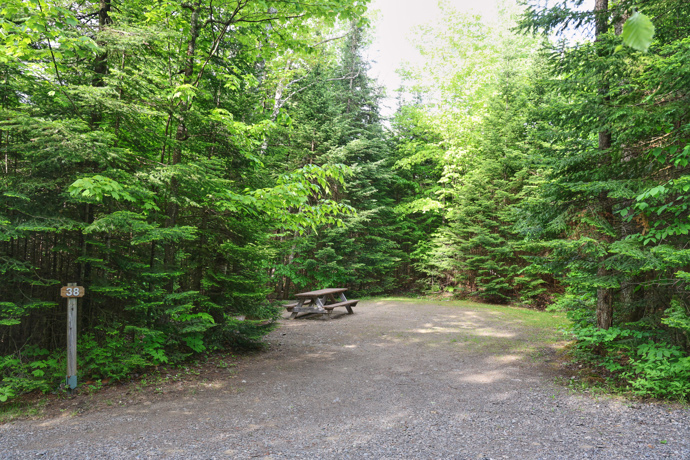 Site 38 - Grenouilles
