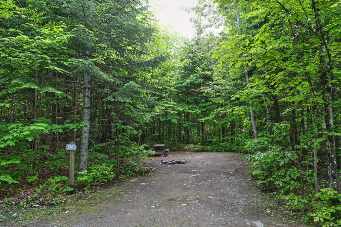 Site 84 - Renards
