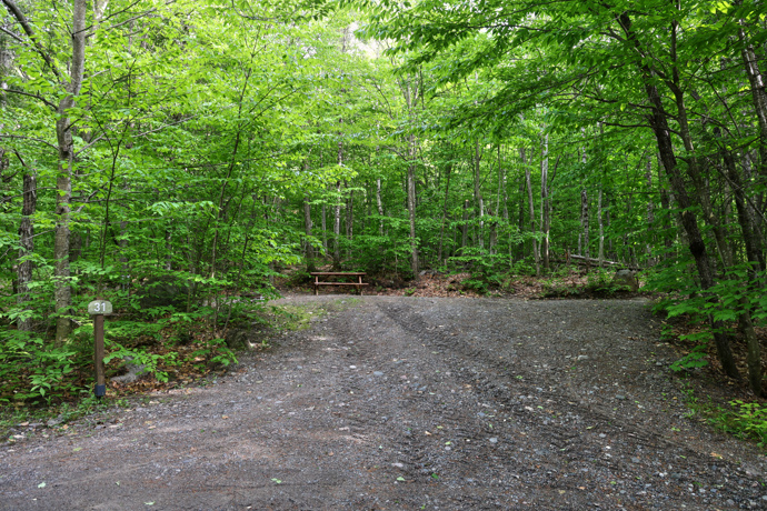 Site 31 - Ours