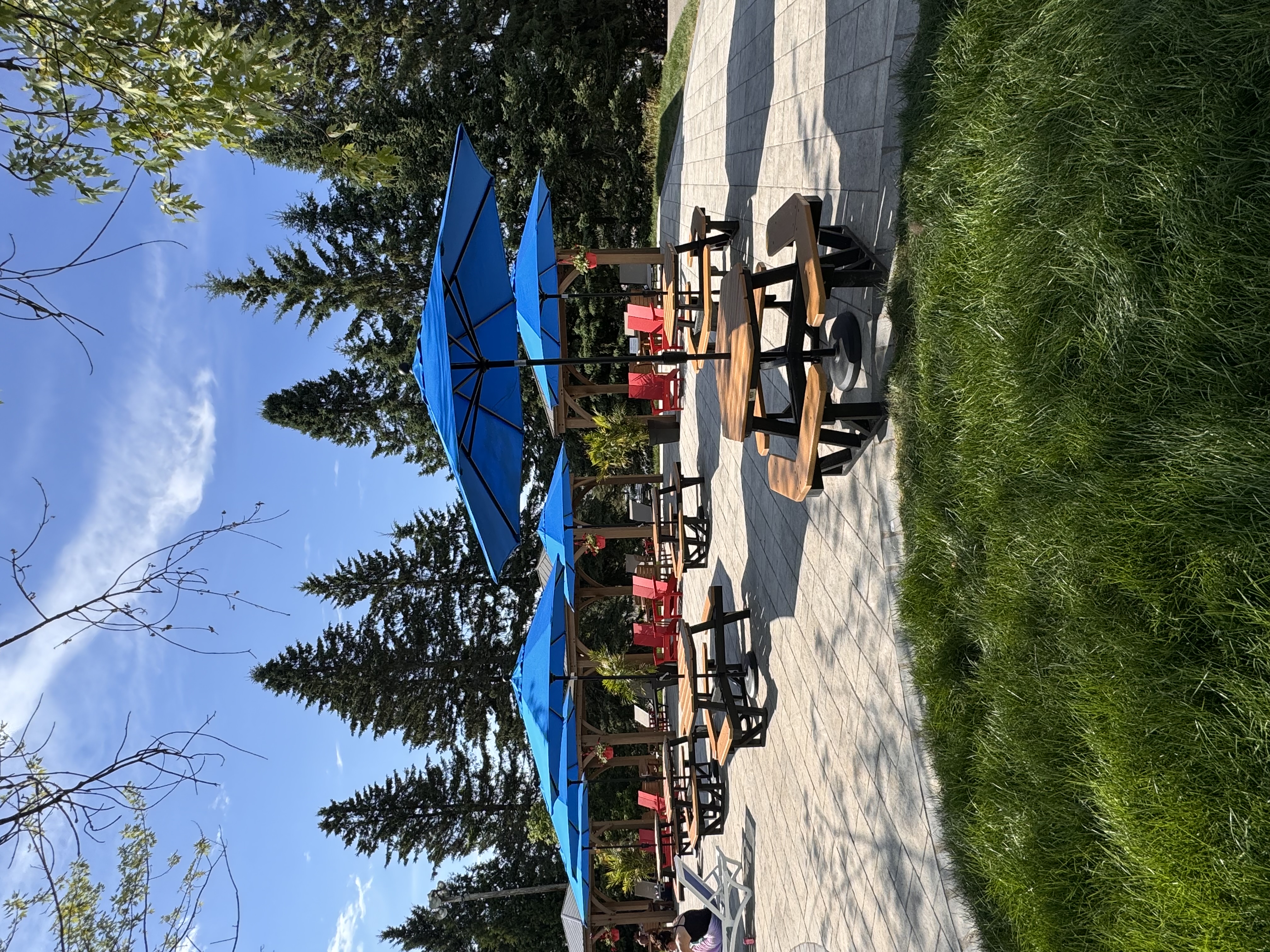 Sommet Saint Sauveur Tables Pique Nique Parc Aquatique Ete Emmener Lunch