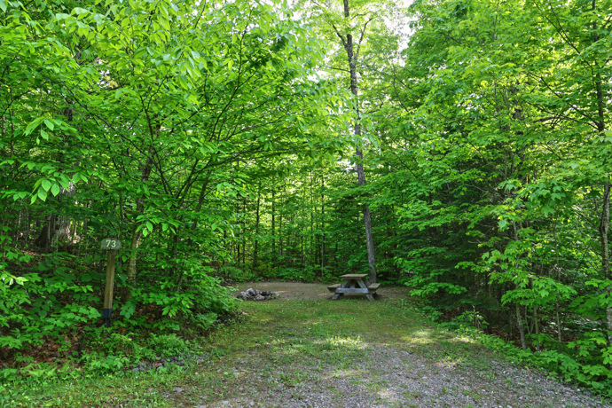 Site 73 - Écureuils