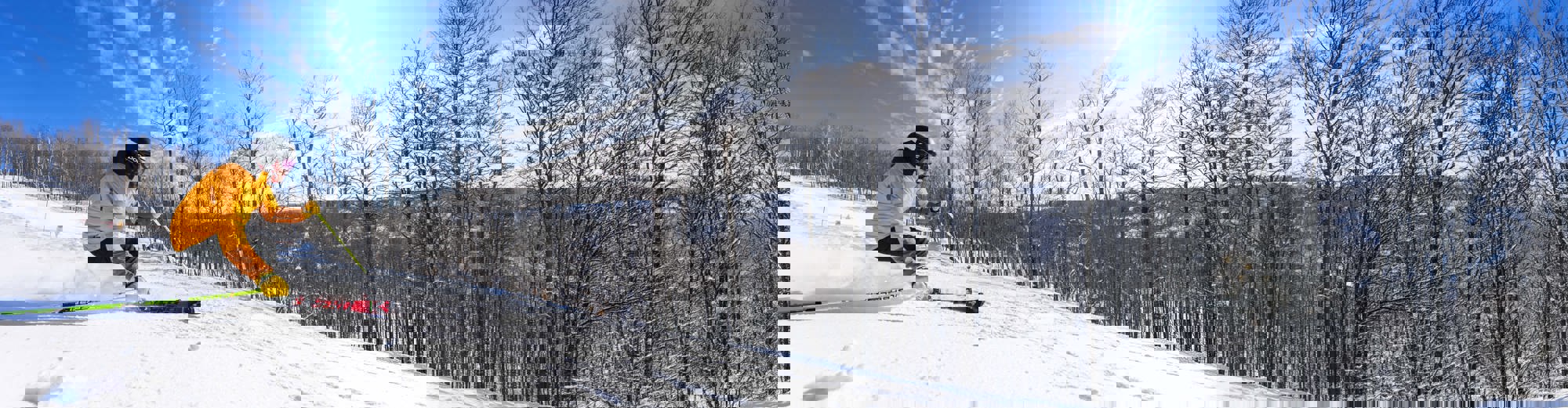 Sommet Saint-Sauveur - Abonnements saisonniers - Hiver 2026-2027