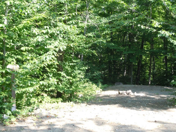 Site 91 - Lièvres