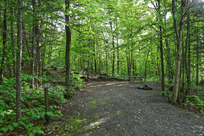 Site 63 - Chevreuils