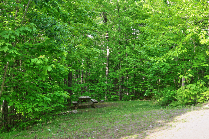 Site 68 - Écureuils