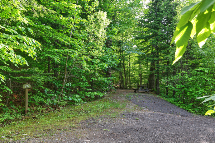 Site 74 - Écureuils